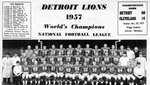 Detroit Lions.jpg
