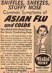 Asian flu.jpg