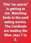 cardinals leading blujays.jpg